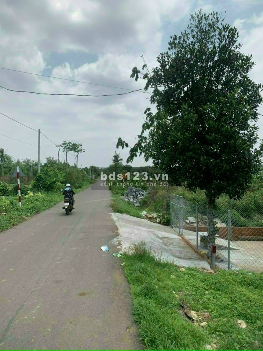 Bán đất đường 21 xã đá bạc gần ngã ba cô đơn chính chủ