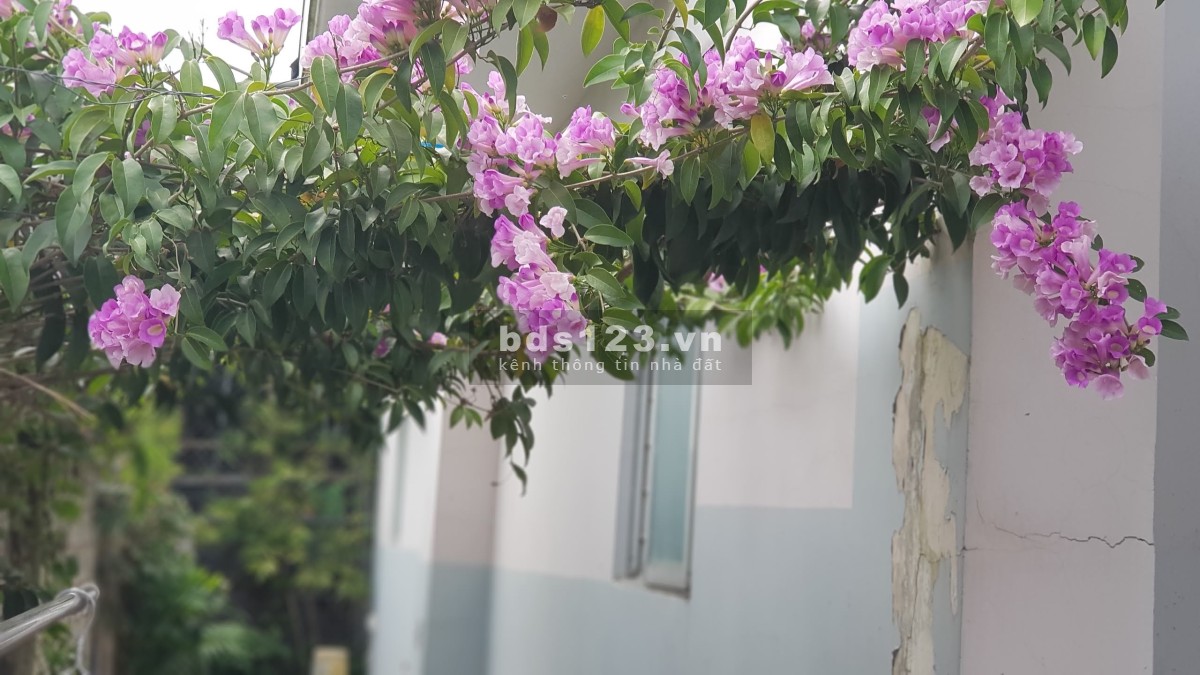 Cho thuê chung cư mini trung tâm SG, khu an ninh, có sân vườn thoáng mát, ban công riêng.