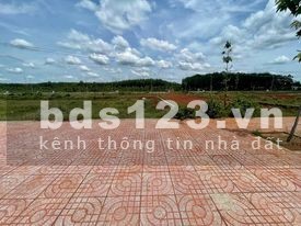 Đất nền chính chủ 1000m2 chỉ 950tr, sổ hồng sẵn, công chứng ngay trong ngày