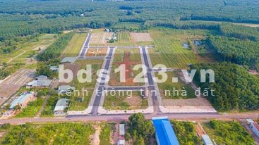 Đất nền chính chủ 1000m2 chỉ 950tr, sổ hồng sẵn, công chứng ngay trong ngày