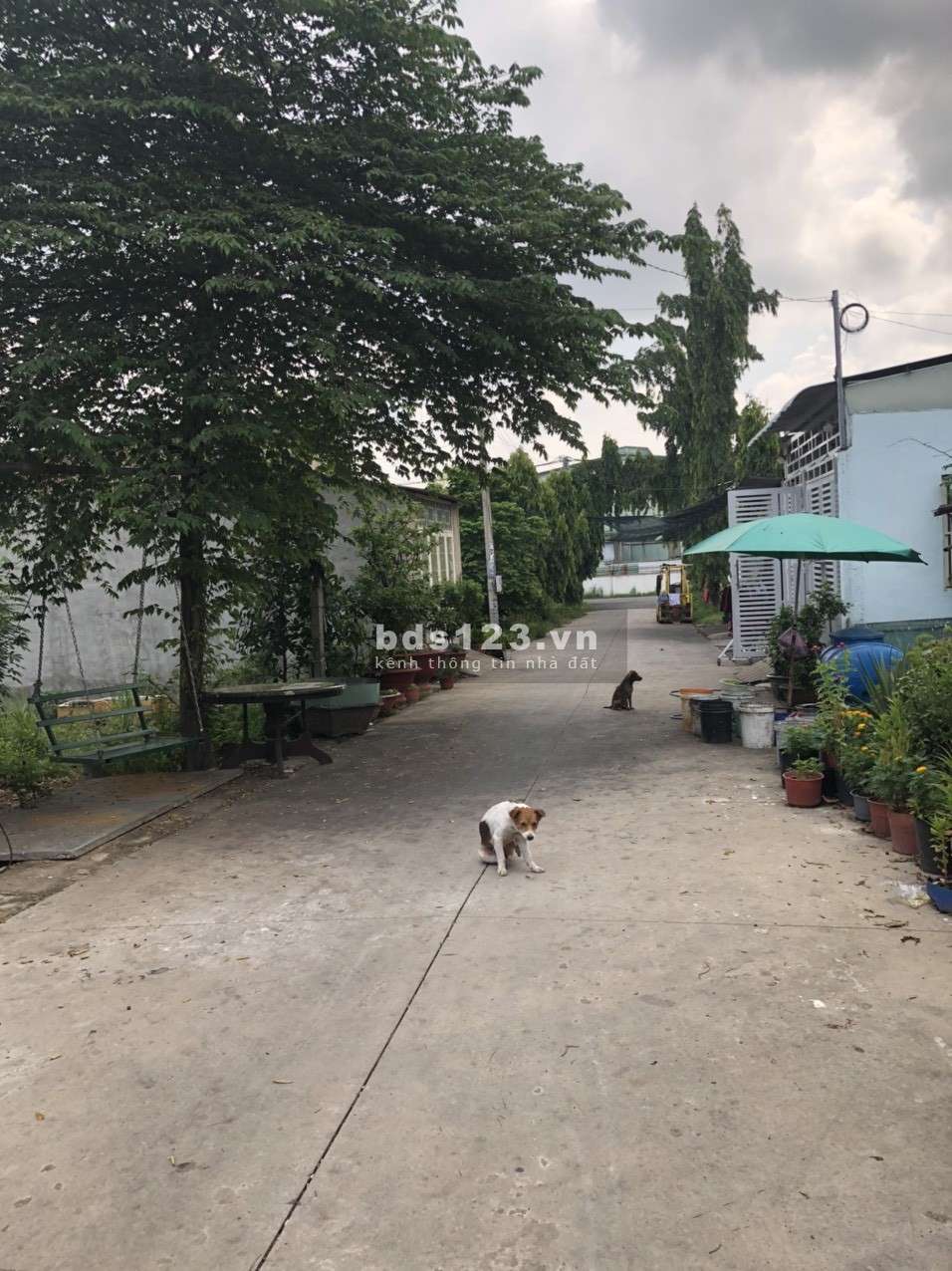 Vợ chồng mình có lô đất của nhà cần bán gấp ở Tân Định gần ngay KĐT Thịnh Gia giá chỉ có 800 triệu