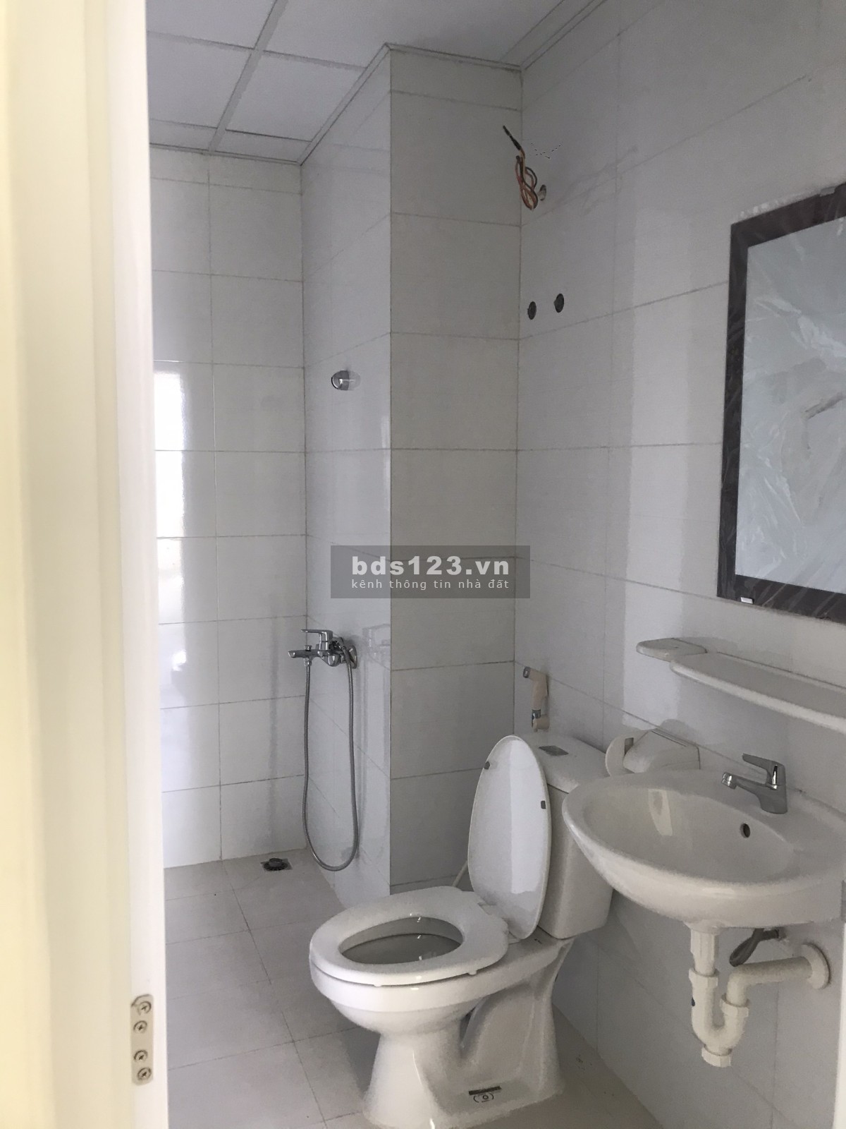 Tôi cho thuê căn hộ Topaz Elite nhà mới 100% D2, đường Cao Lỗ, Phường 4, Quận 8