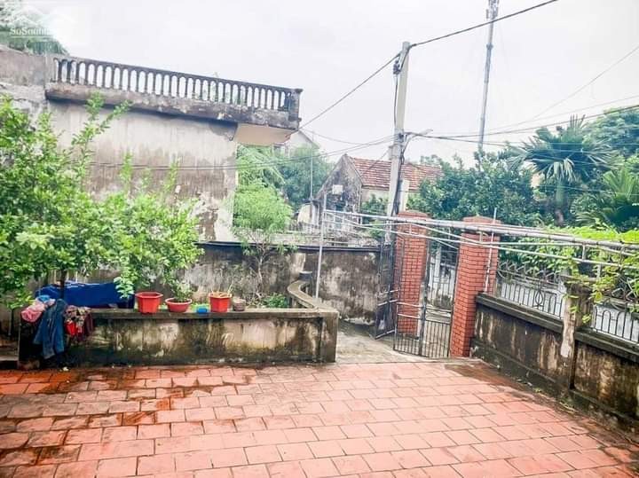 Bán đất Tiên Cầu Hiệp Cường Kim Động, Hưng Yên, giá tốt đầu tư