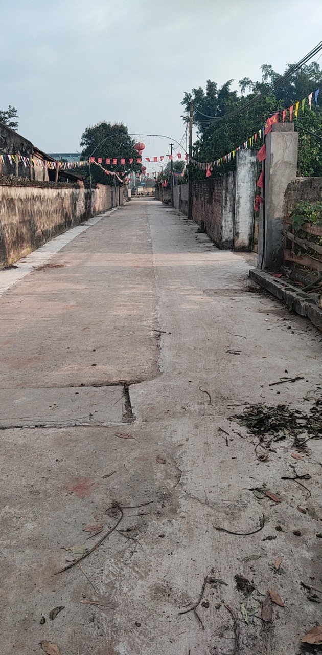Bán đất Tiên Cầu Hiệp Cường Kim Động, Hưng Yên, giá tốt đầu tư
