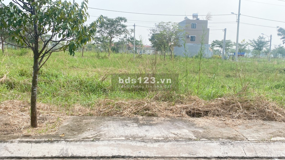 Bán đất riêng gần đường 826C, 80m2, xây dựng tự do, sổ hồng trao tay
