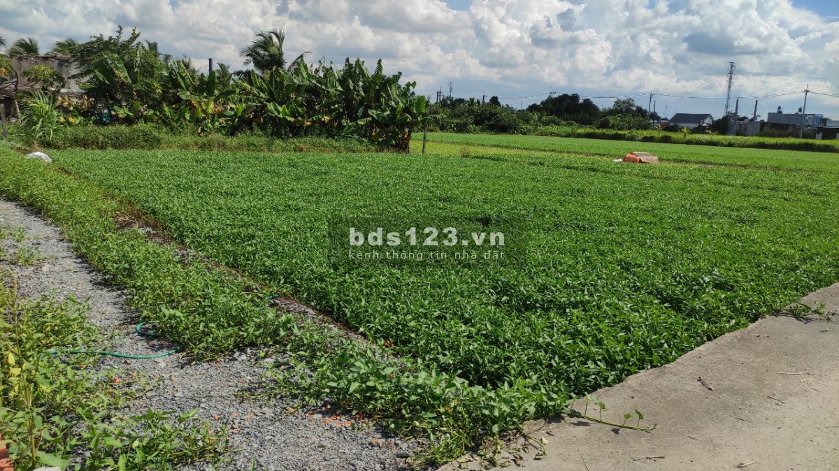 Bán lô đất Củ Chi, lô góc đã xây nhà ở: 5x22m, gần Trường Tiểu Học Bình Mỹ. 650tr