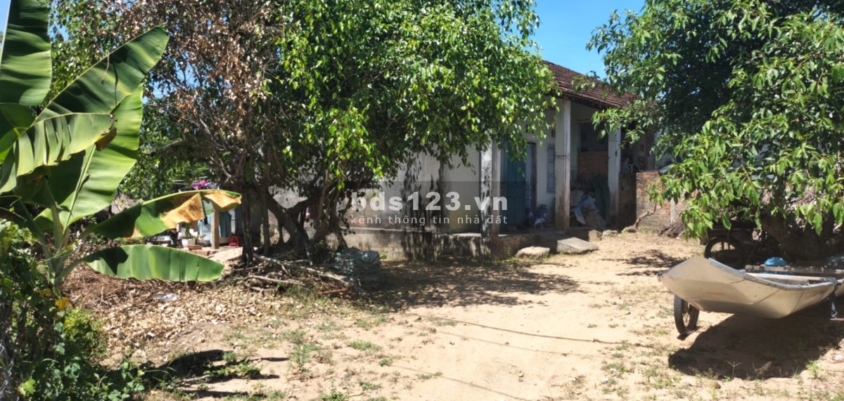 356m2 đất thổ cư Gia Lai - mặt tiền betong liên xã ngay khu dân cư giá 380tr