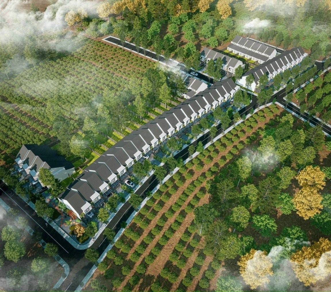 Chỉ 10 suất mở bán nội bộ đất nền phường Lộc An, siêu phẩm đất nền đón sóng đầu tư chỉ