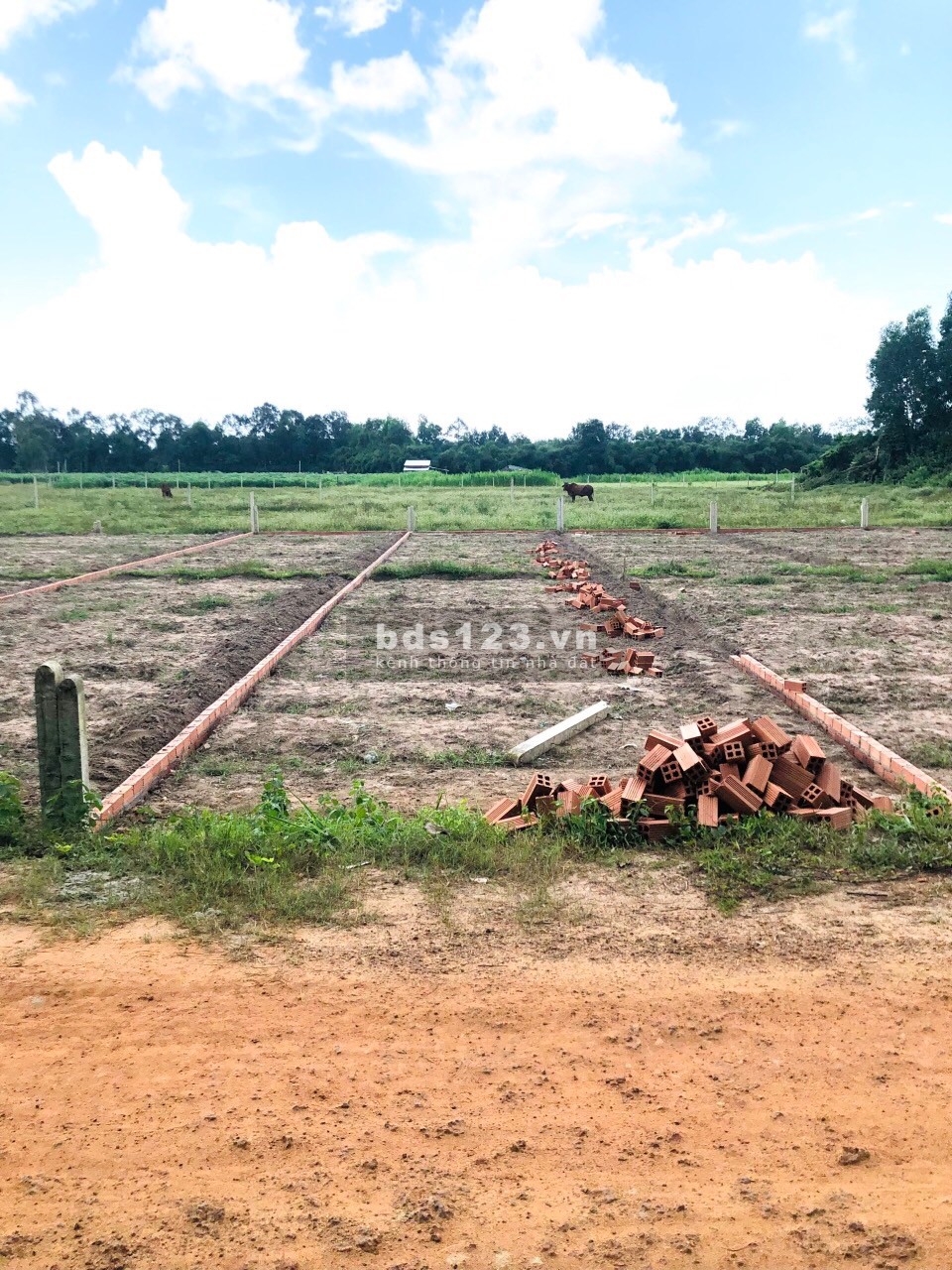 Đất nền ODT THỔ CƯ, mặt tiền Quoc lộ 22 bàn giao ngay, sổ hồng riêng