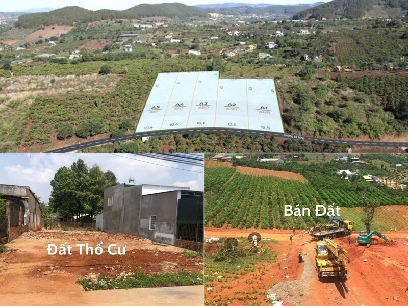 chuyen-mua-ban-dat-gia-re-lam-dong-tat-ca-loai-hinh_1656406836.jpg Chuyện mua bán đất giá rẻ Lâm Đồng tất cả loại hình