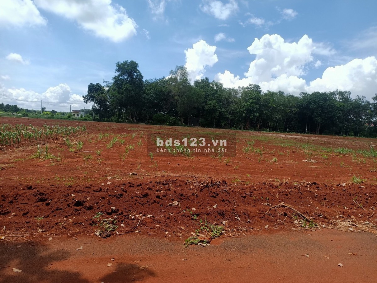 Bán Nhanh đất trung tâm Thành Phố Bà Rịa giá đầu tư chỉ 2,8 tỷ khu an ninh