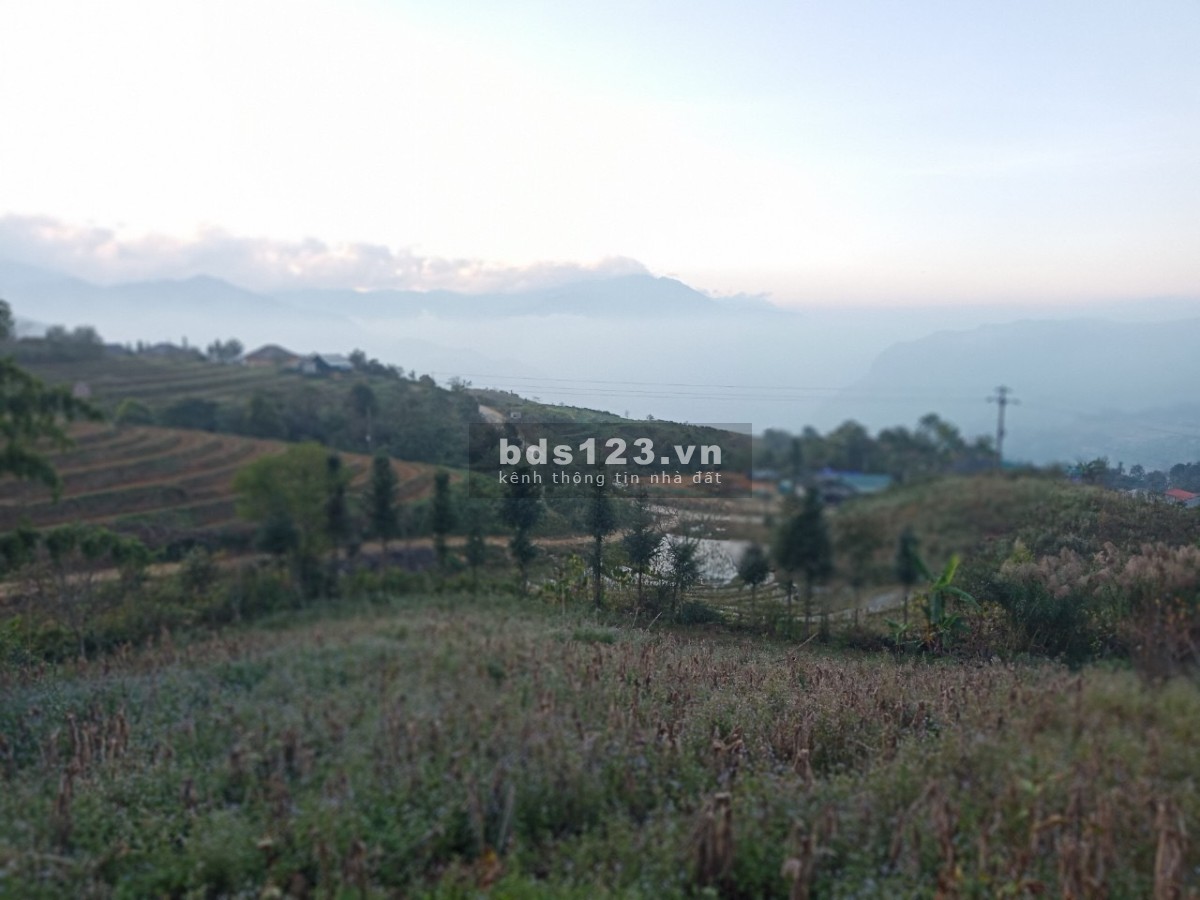 Đất nền Y Tý đón sóng sân bay giá rẻ chỉ từ vài triệu Đón sóng quy hoạch 1/500