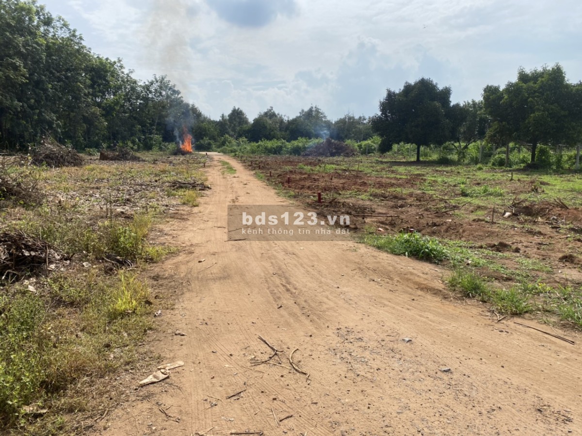 Đất sổ đỏ cửa ngõ sân bay Quốc Tế Long Thành giá đầu tư F0 lh 0356861079