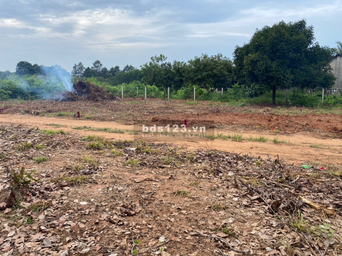 Đất sổ đỏ cửa ngõ sân bay Quốc Tế Long Thành giá đầu tư F0 lh 0356861079