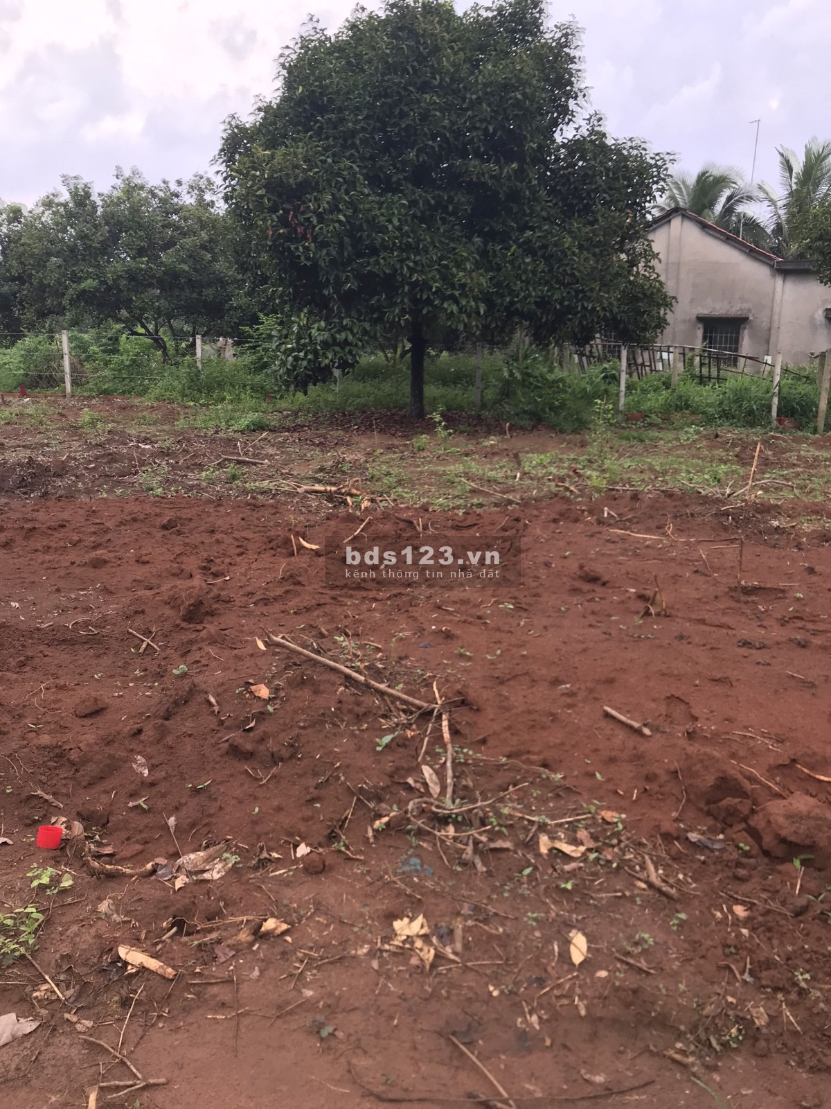 Đất sổ đỏ cửa ngõ sân bay Quốc Tế Long Thành giá đầu tư F0 lh 0356861079