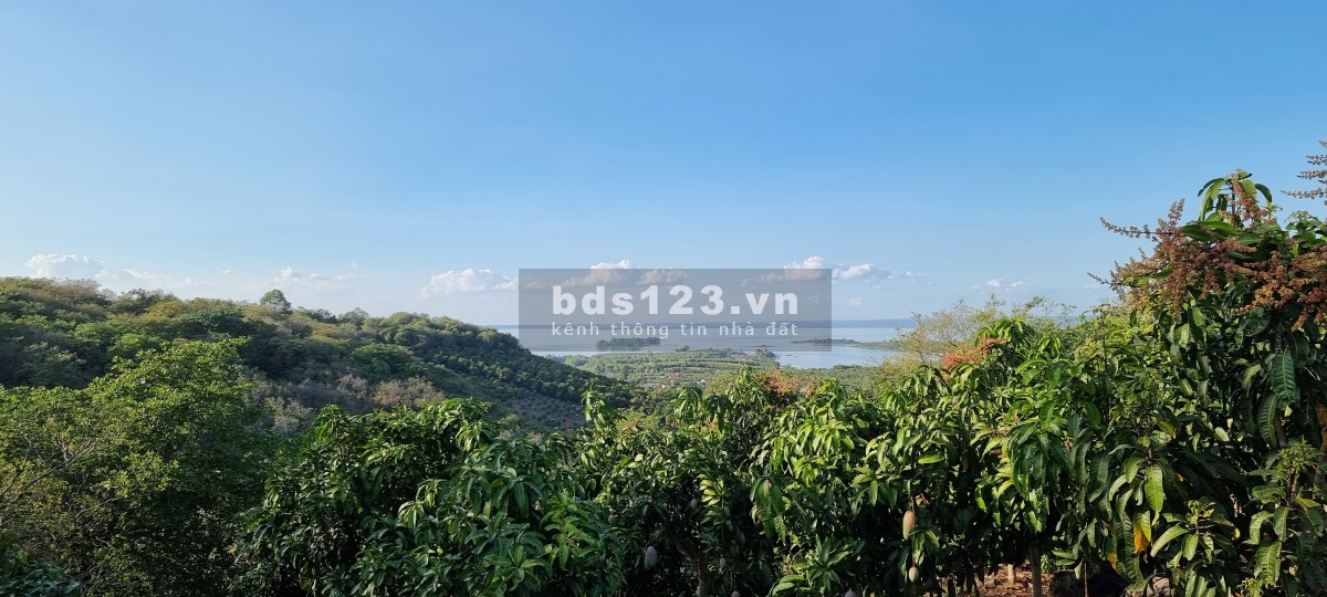 Chính chủ gởi bán 16 lô vị trí đắc địa view hồ Trị An, liền kề khu du lịch Tropical E-glamping