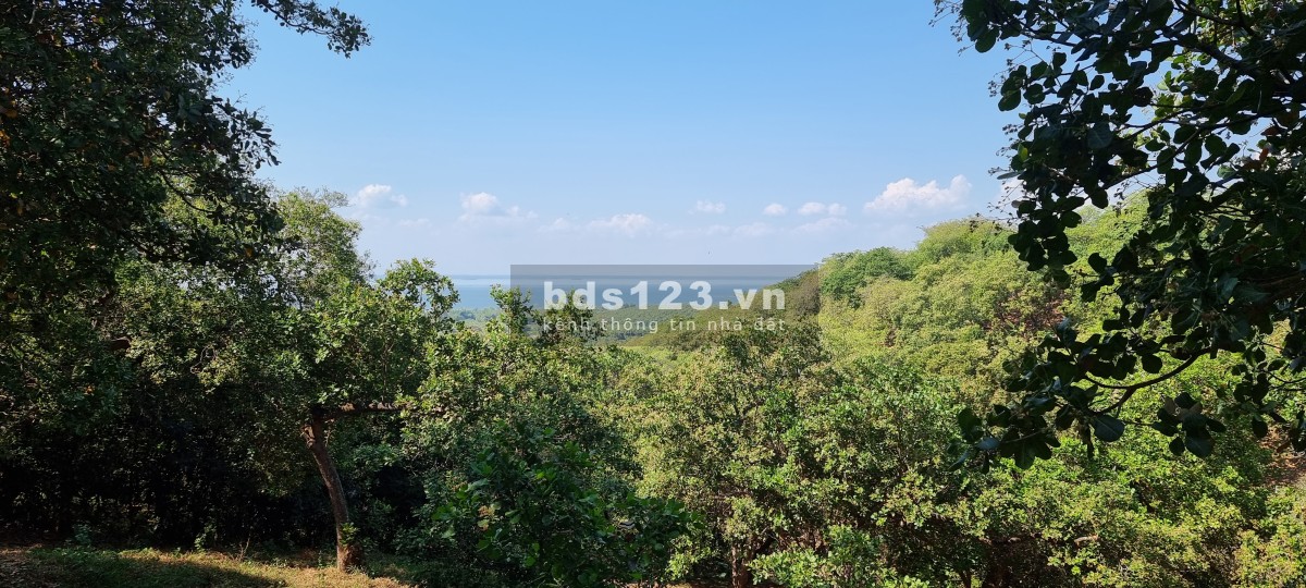 Chính chủ gởi bán 16 lô vị trí đắc địa view hồ Trị An, liền kề khu du lịch Tropical E-glamping