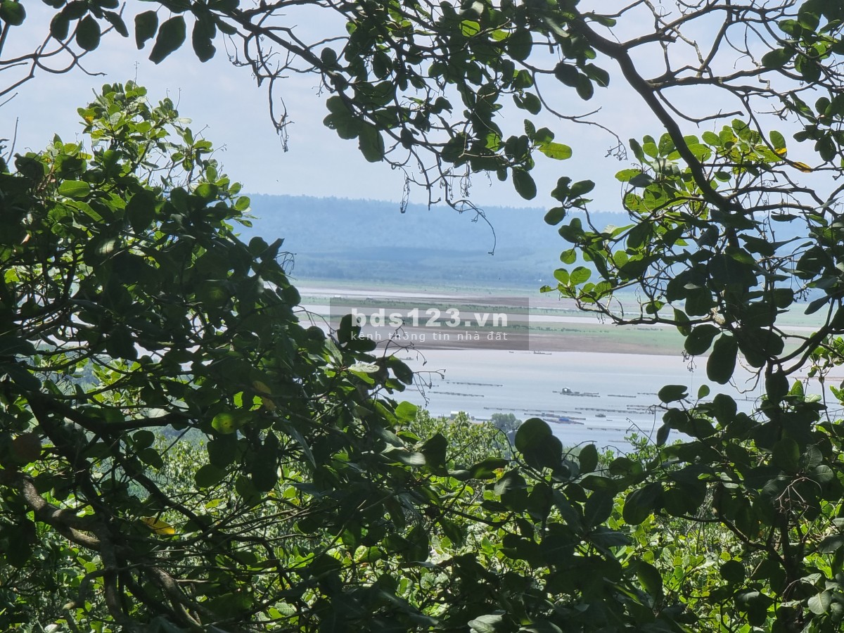 Số lượng giới hạn vài lô view hồ Trị An giá tốt nhất thị trường cho nhà đầu tư chỉ 600ngàn/m2