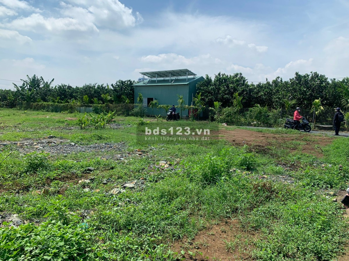 Bán đất ngay Làng Bưởi Tân Triều, xã Tân Bình, huyện Vĩnh Cửu
