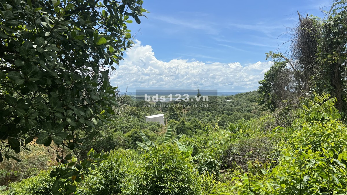 Giỏ hàng đất vườn sinh thái view hồ Trị An cho nhà đầu tư, người muốn sở hữu Bđs nghỉ dưỡng