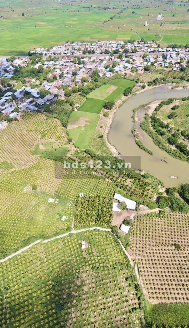 Bán đất nông nghiệp 8694 m² xã Hồng Thái, huyện Bắc Bình, Bình Thuận giá 1tỷxxx