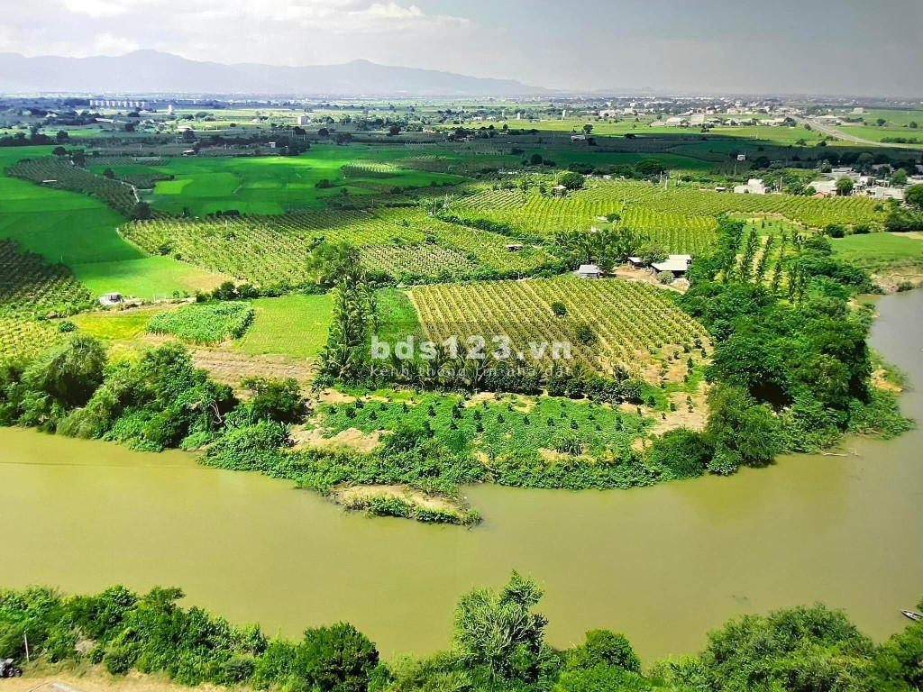 Bán đất nông nghiệp 8694 m² xã Hồng Thái, huyện Bắc Bình, Bình Thuận giá 1tỷxxx