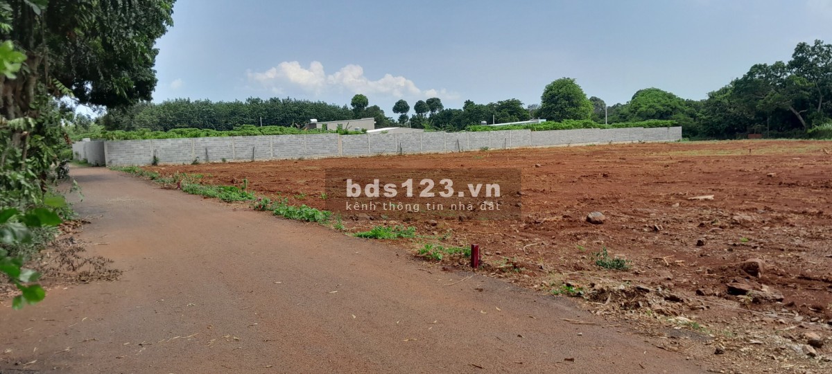 Đất chính chủ mặt tiền lớn tại xã Long Phước thành phố Bà Rịa Vũng Tàu giá đầu tư siêu lợi nhuận
