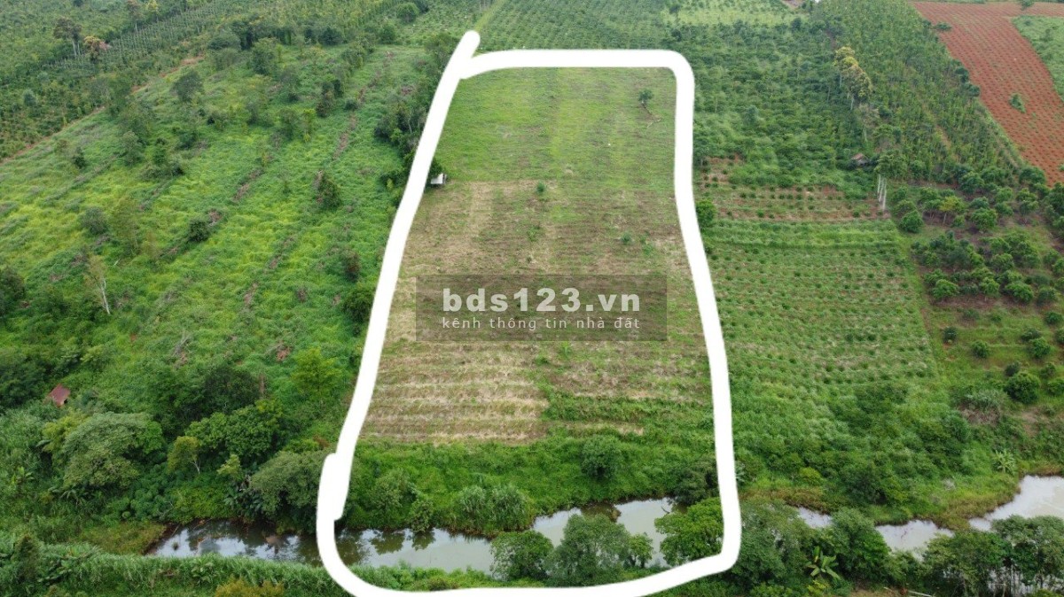 Cần bán 1ha đất tại Đắk Nông, 2 mặt đường thể hiện trên sổ, giá bán 1 tỷ
