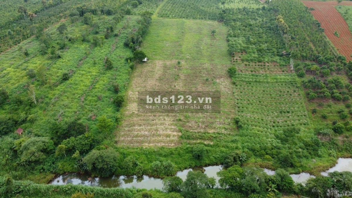Cần bán 1ha đất tại Đắk Nông, 2 mặt đường thể hiện trên sổ, giá bán 1 tỷ