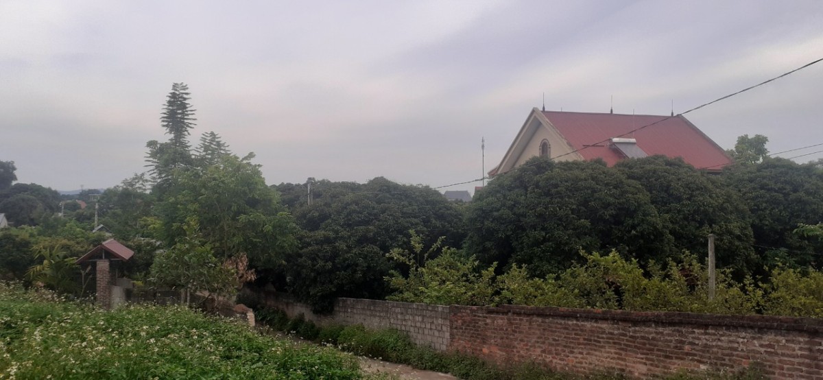 Mở bán 5 lô đất tại Dĩnh Lục, Tân Dĩnh Lạng Giang sổ hồng chính chủ, giá tốt