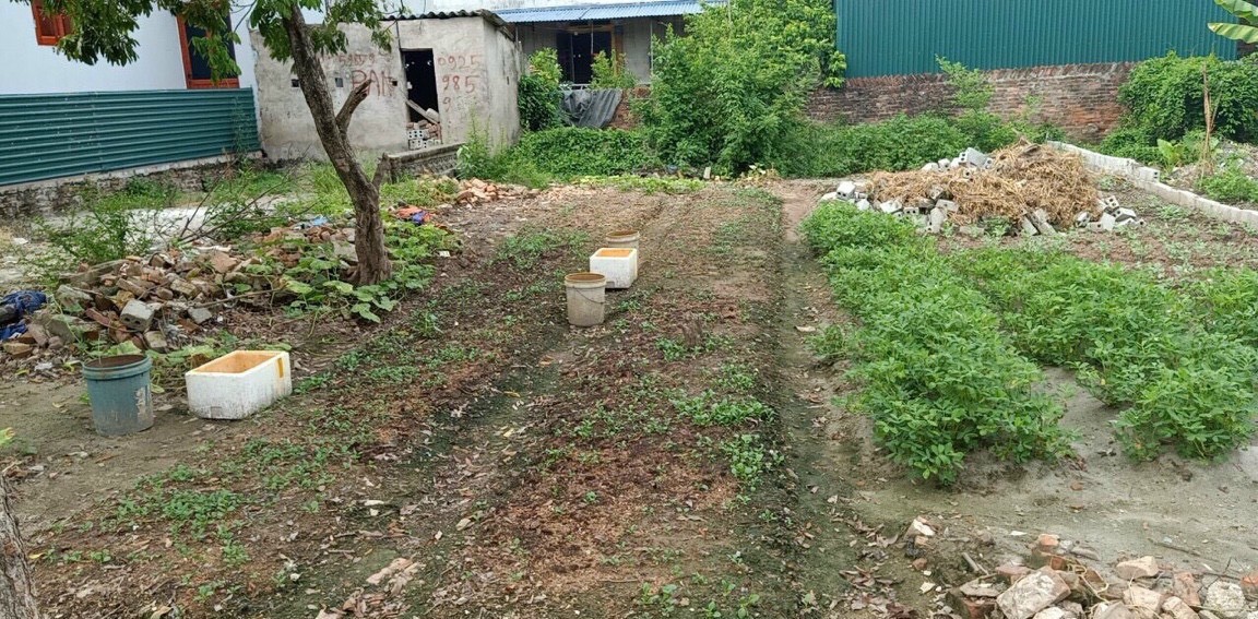 Bán đất thổ cư tại Liêu Trung, Liêu Xá Yên Mỹ, Hưng Yên, giá tốt đầu tư