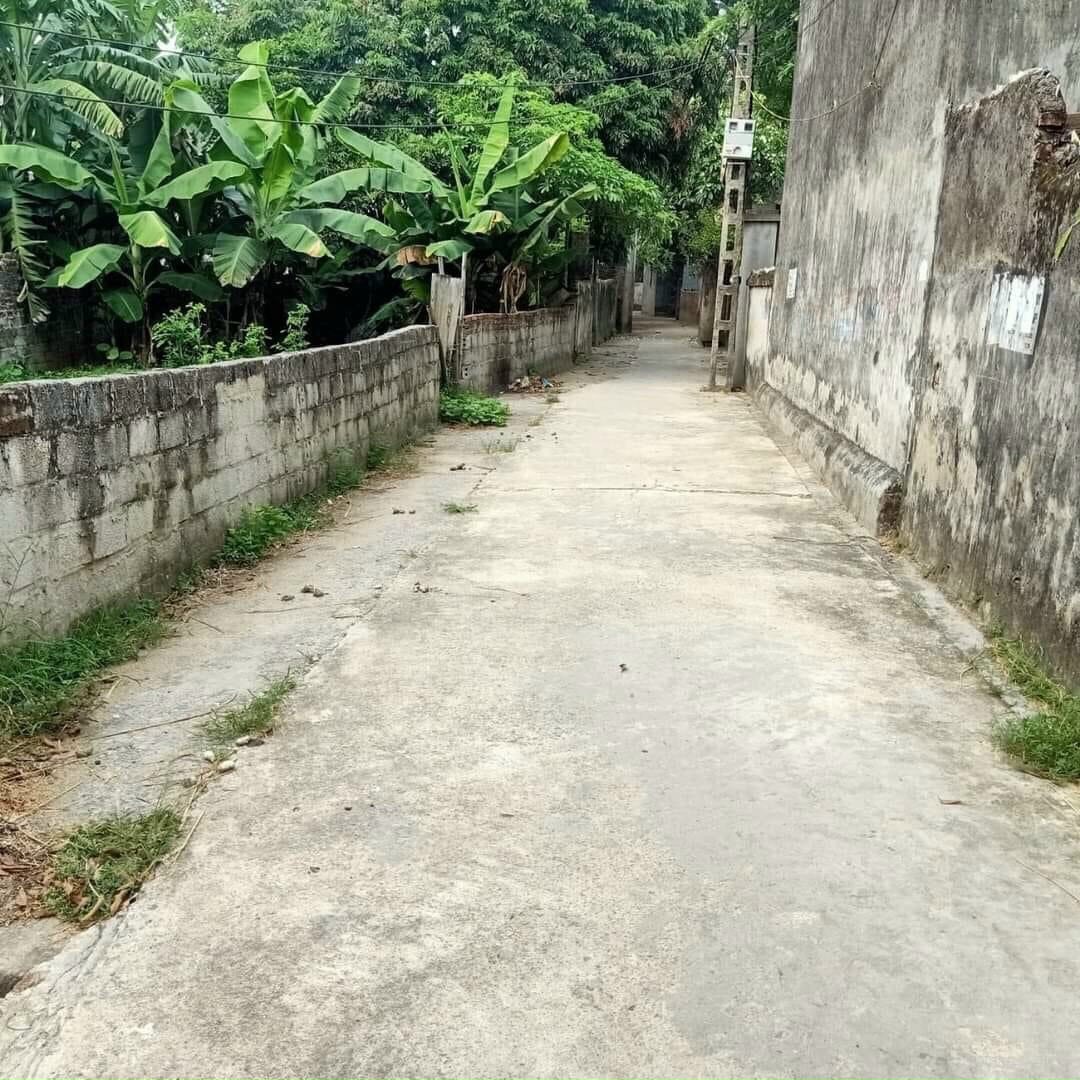 Bán đất thổ cư tại Liêu Trung, Liêu Xá Yên Mỹ, Hưng Yên, giá tốt đầu tư