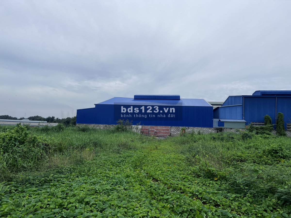 Cho thuê đất làm nhà xưởng, kho bãi, kho chứa hàng liên hệ 0933.393.390