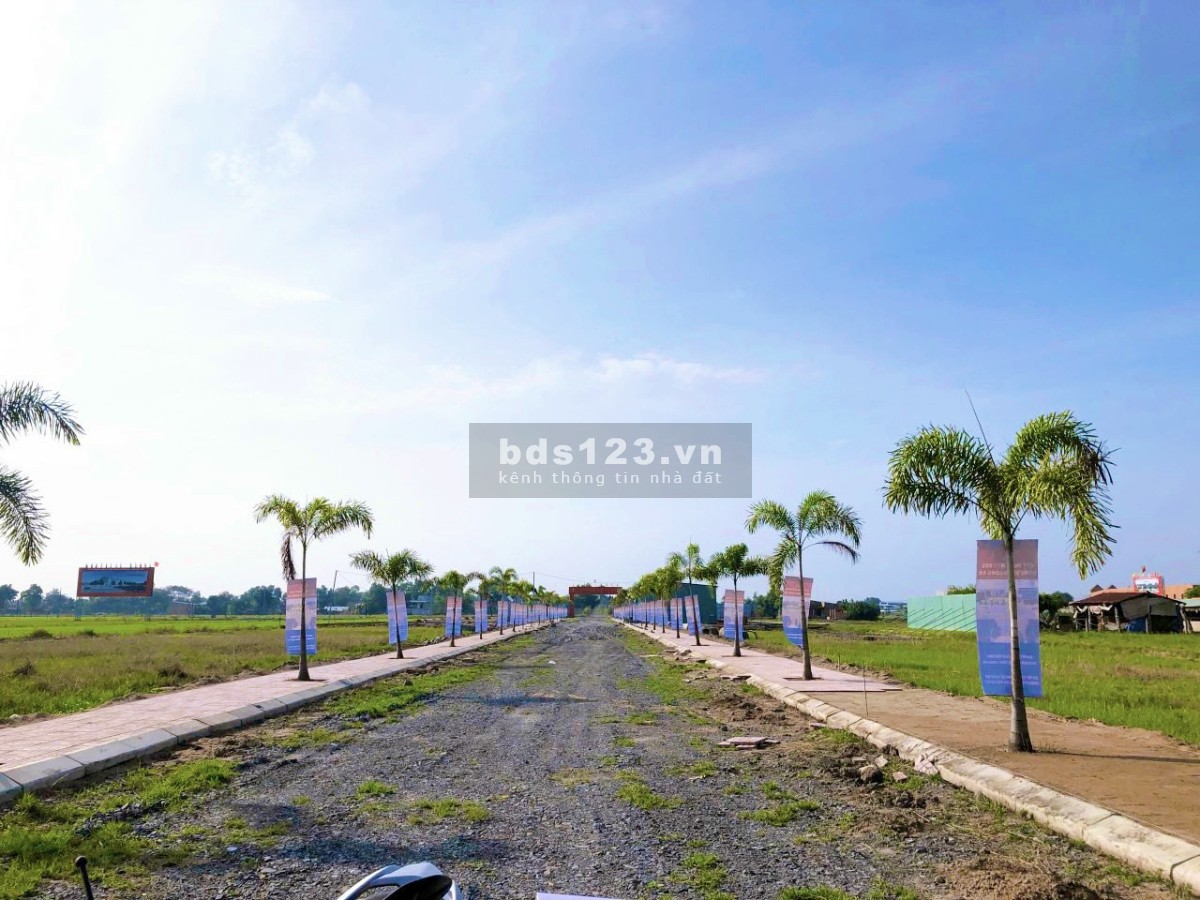 Bán Đất Tỉnh lộ 9 Mỹ Hạnh Bắc Đức Hoà sổ hồng riêng, lh 0783495189