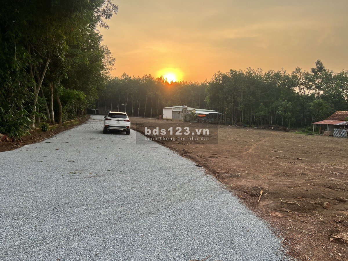Đất nền thổ cư sổ sẵn cầm tay ngay trung tâm hành chánh mới Đồng Phú Bình Phước