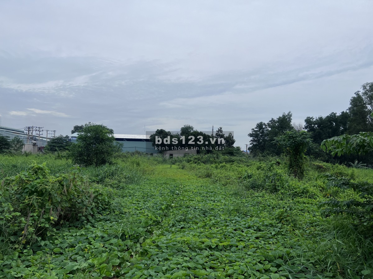 Cho thuê đất làm nhà xưởng, kho bãi, kho chứa hàng liên hệ 0933.393.390
