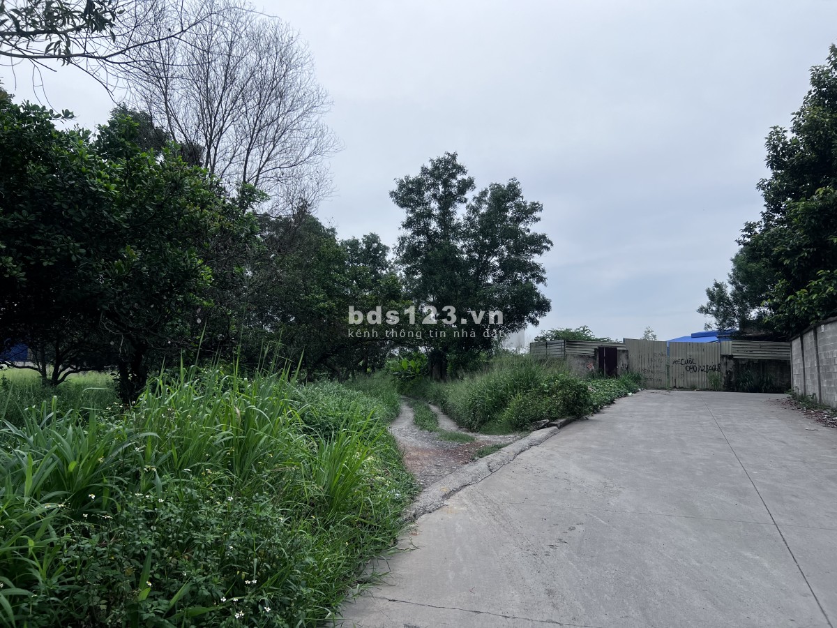 Cho thuê đất làm nhà xưởng, kho bãi, kho chứa hàng liên hệ 0933.393.390