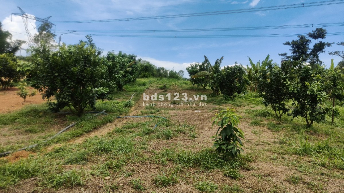 Bán đất sào giáp hồ Trị An Định Quán Đồng Nai liên hệ…