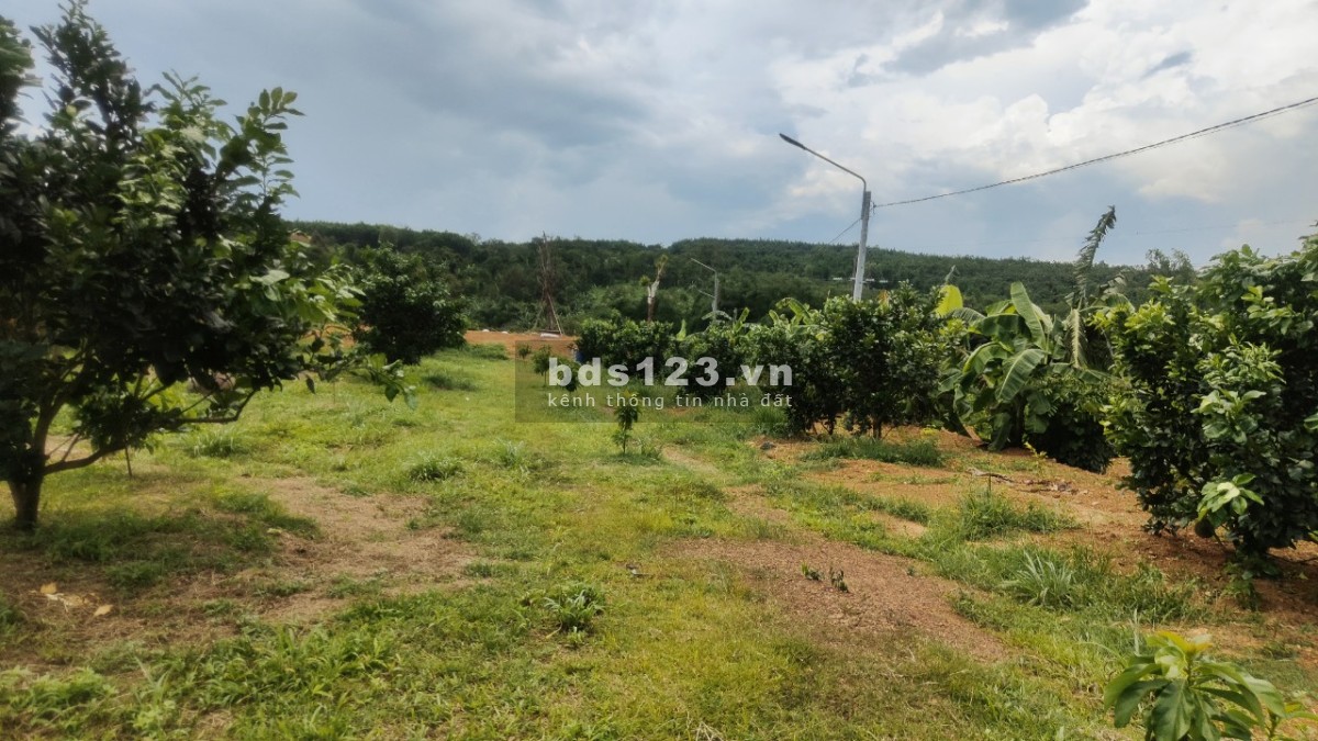 Bán đất sào giáp hồ Trị An Định Quán Đồng Nai liên hệ…