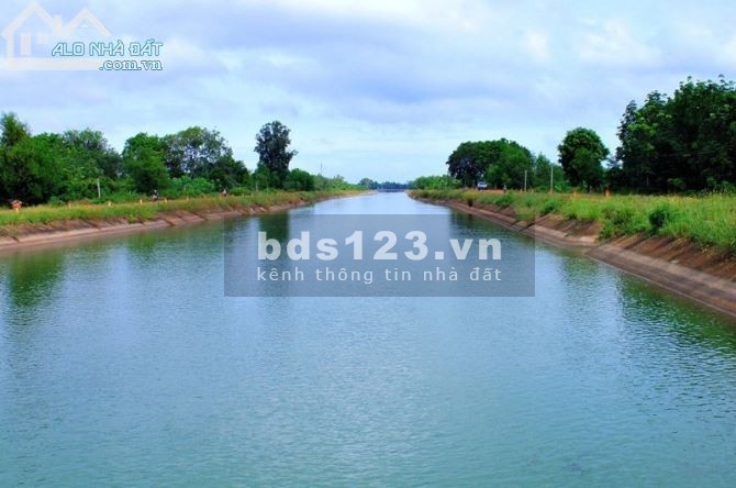 Tôi chủ đất bán gấp lô đất diện tích 200m2 ngay chợ đối diện trường khu dân cư