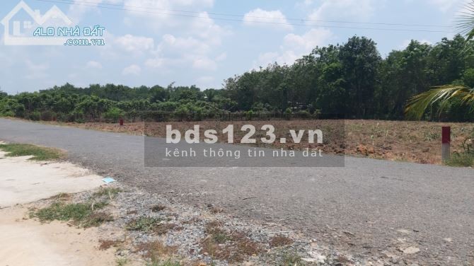 Tôi chủ đất bán gấp lô đất diện tích 200m2 ngay chợ đối diện trường khu dân cư