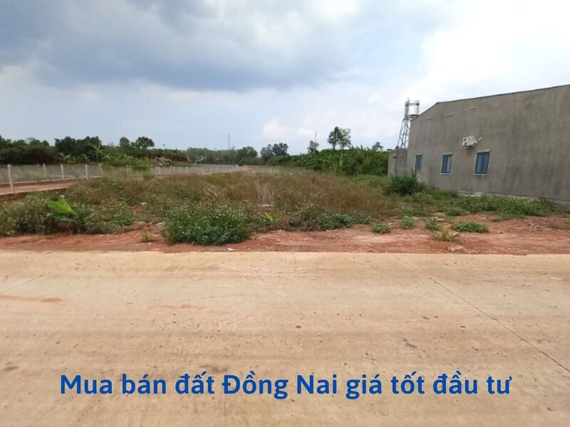 mua-ban-dat-dong-nai-gia-tot-dau-tu-tai-bds123vn_1656730386.jpg Mua bán đất Đồng Nai giá tốt đầu tư sinh lời tại Bds123.vn
