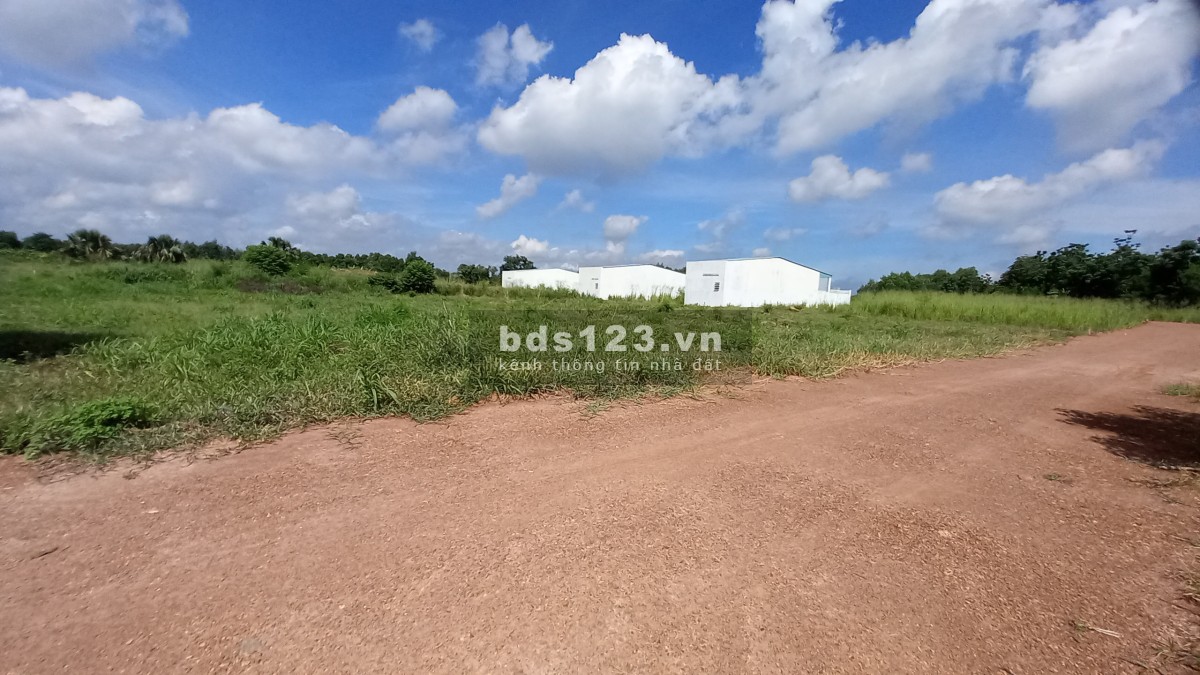 Bán vườn Sông trầu - Trảng bom. Sổ hồng riêng sẵn