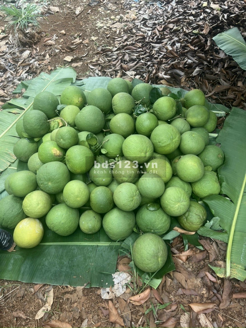 Bán đất F0 chưa qua đầu tư ngay thành phố Long Khánh sổ sẵn chính chủ