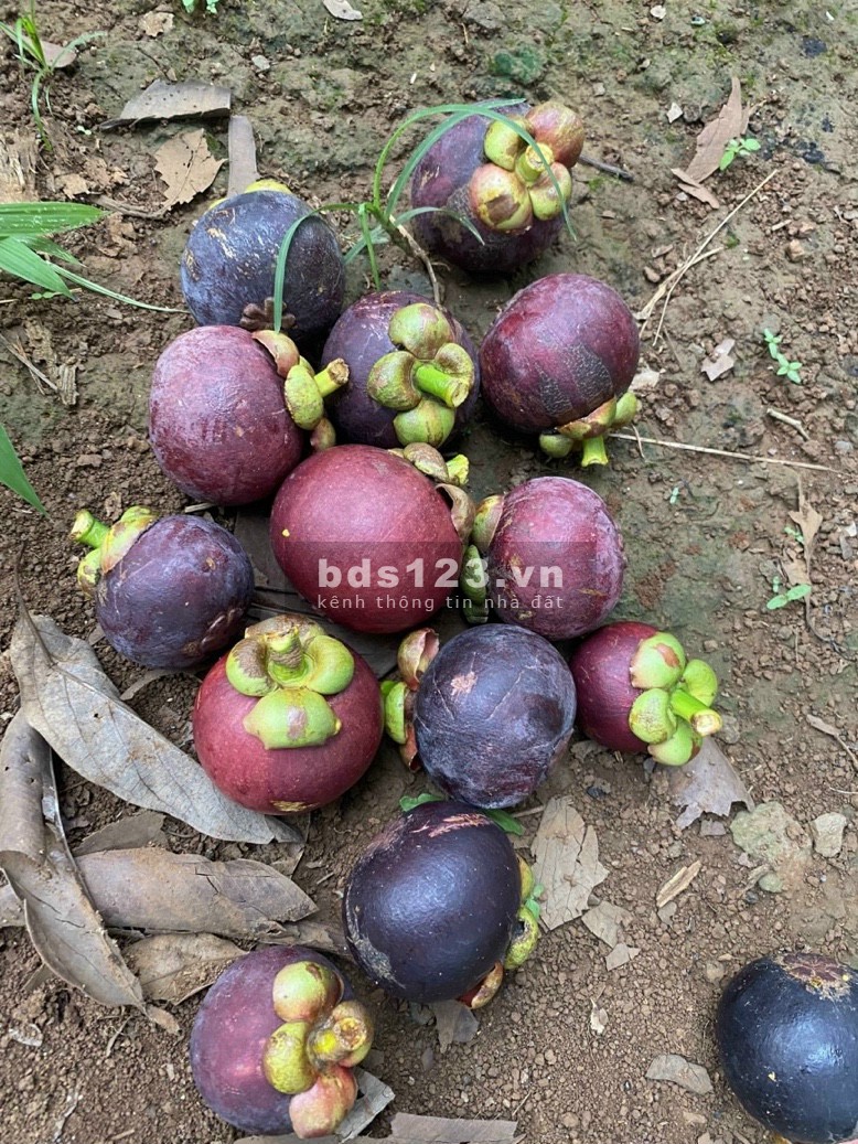 Bán đất F0 chưa qua đầu tư ngay thành phố Long Khánh sổ sẵn chính chủ