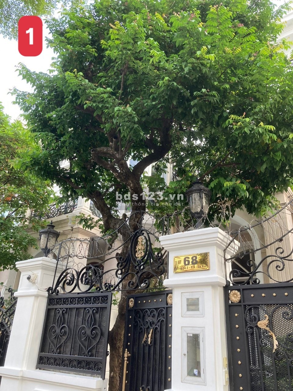 Bán biệt thự 3 lầu khu Cityland Garden Hills tuyệt đẹp Gò Vấp lh 0903800873