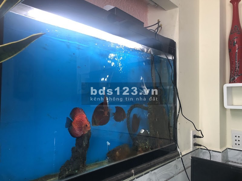 1 căn duy nhất bán nhà Chu Văn An, Bình Thạnh 5 tầng chỉ 3 tỷ lh 0338082997
