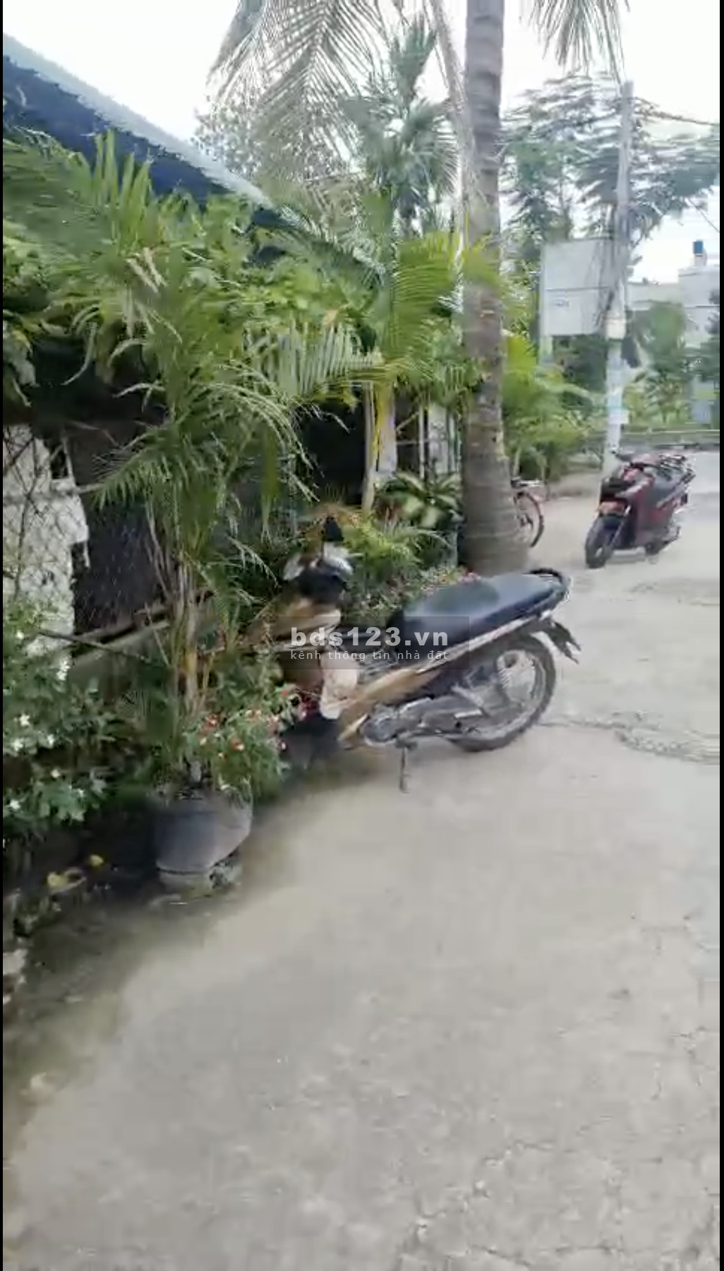 Cho thuê nhà cấp 4 ở Đường Bình Mỹ, Củ Chi liên hệ 0988343993