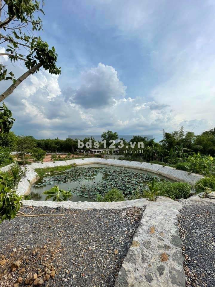 Bán khu nhà vườn nghỉ dưỡng 9.137m2 giá 9,1 tỷ tại xã Vĩnh Tân, huyện Vĩnh Cửu