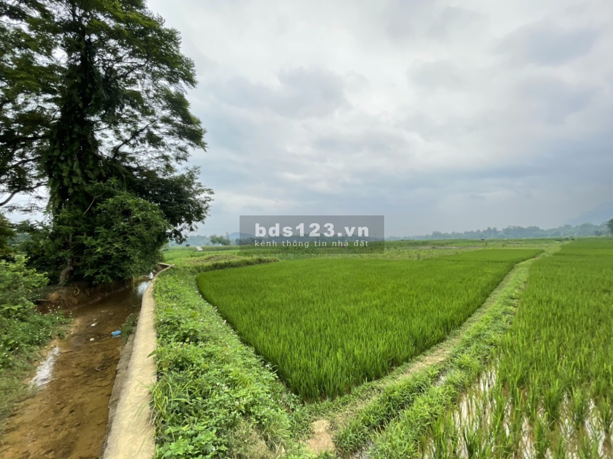 Bán 2000m đất ở vườn tại Lạc Sơn, HB giá chỉ 350k/m2. View cánh đồng đẹp không điểm chê 0982876689
